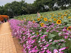 -光明农场大观园