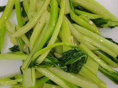 蒜蓉时蔬-锦粤宫·精致粤菜(深圳北站店)