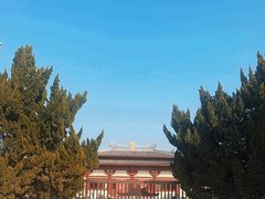 -洛阳古墓博物馆