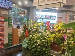 -洞庭家宴·头牌甲鱼(广渠门店)