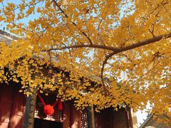 -浮来山风景区