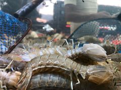 -金海湾海鲜排档(朱家尖店)