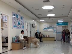 -美联众合动物医院·24h京西诊疗中心