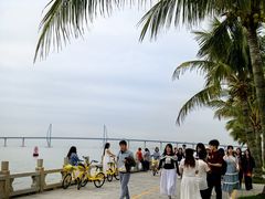 -金苑海鲜酒家(来魅力店)