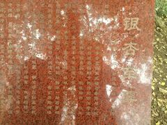-千年银杏谷文化旅游区