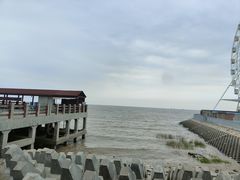 -奉贤海滩