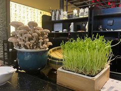 -捞王锅物料理(金城路店)