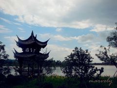 -杭州湾海上花田景区