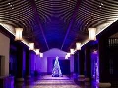 -无锡梁鸿湿地丽笙度假酒店·流觞西餐厅