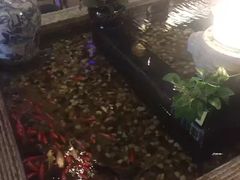 -赵记老铺(市府恒隆广场店)