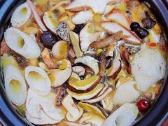 -菌之家·专业纯野生菌火锅·特色炒菌