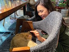 -咖法森林·咖啡  酒吧(天河店)