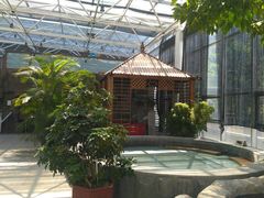 -盛彼得温泉度假酒店