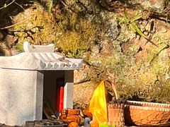 -午潮山国家森林公园