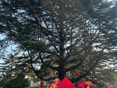 -青岛德国总督楼旧址博物馆