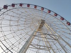 -松鼠王国