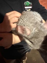 -Zoolung Zoolung动物主题公园(海信广场店)