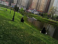 -花果园湿地公园