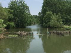 -溱湖国家湿地公园