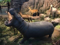 -陕西自然博物馆