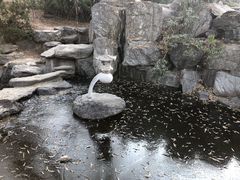 -西安青龙寺遗址景区