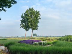 -汉长安城未央宫国家考古遗址公园