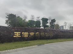 -王借岗森林公园