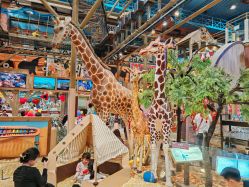 -卡通尼·Safari非洲探索乐园·生日会(金桥国际商业广场店)