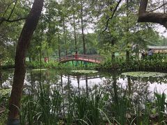 -东湖落雁景区