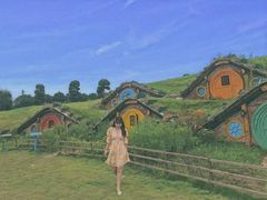 -武汉紫薇都市田园