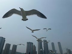 -星海广场