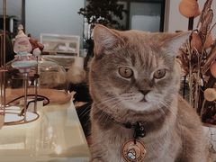 -MIMO CAFE(沙头角店)
