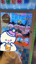 -卡通尼·Safari非洲探索乐园·生日会(金桥国际商业广场店)