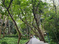 -蜈支洲岛珊瑚酒店临海阁中餐厅