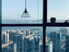 -柴犬小屋·柴餐厅·狗咖食堂(金鼎广场店)