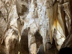 -怀托摩萤火虫洞