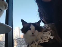 -怪兽屋·羊驼·猫咖·狗咖(俊华广场店)