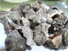 -沿海渔家院海鲜烧烤·东北菜(东戴河店)