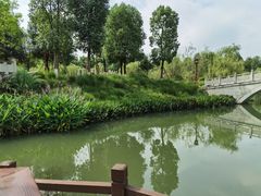 -眉山湿地公园(东坡区)