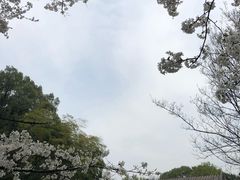 -团城山公园