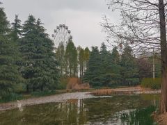 -洛阳市隋唐城遗址植物园