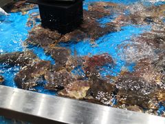 -盒马鲜生(领丰汇店)