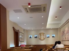 -海丝金凤(金鱼店)