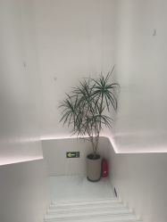 -LJOY丽锦造型·烫发染发