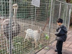 -厦门悦华酒店
