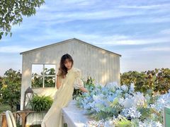 -安德鲁户外烧烤帐篷营地(马泉营店)