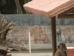 -广东茂名森林公园