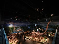 -自贡恐龙博物馆