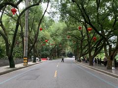 -潜山国家森林公园