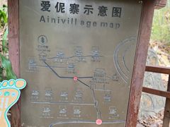 -西双版纳原始森林公园